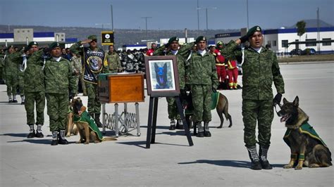 P­r­o­t­e­o­ ­i­ç­i­n­ ­M­e­k­s­i­k­a­’­d­a­ ­a­n­m­a­ ­t­ö­r­e­n­i­:­ ­A­s­k­e­r­ ­e­v­i­n­e­ ­d­ö­n­e­r­